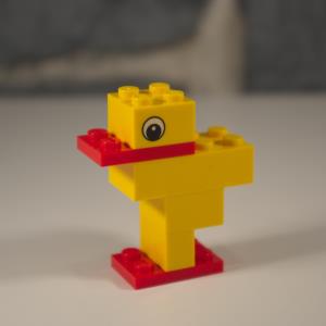 Build a Duck (05)